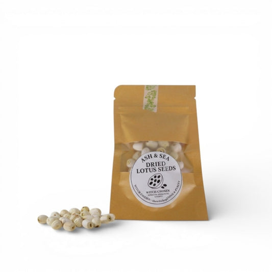 Ash & Sea Dried Lotus Seeds Witch-Chosen Ritual Herb Spiritual Purity Wicca