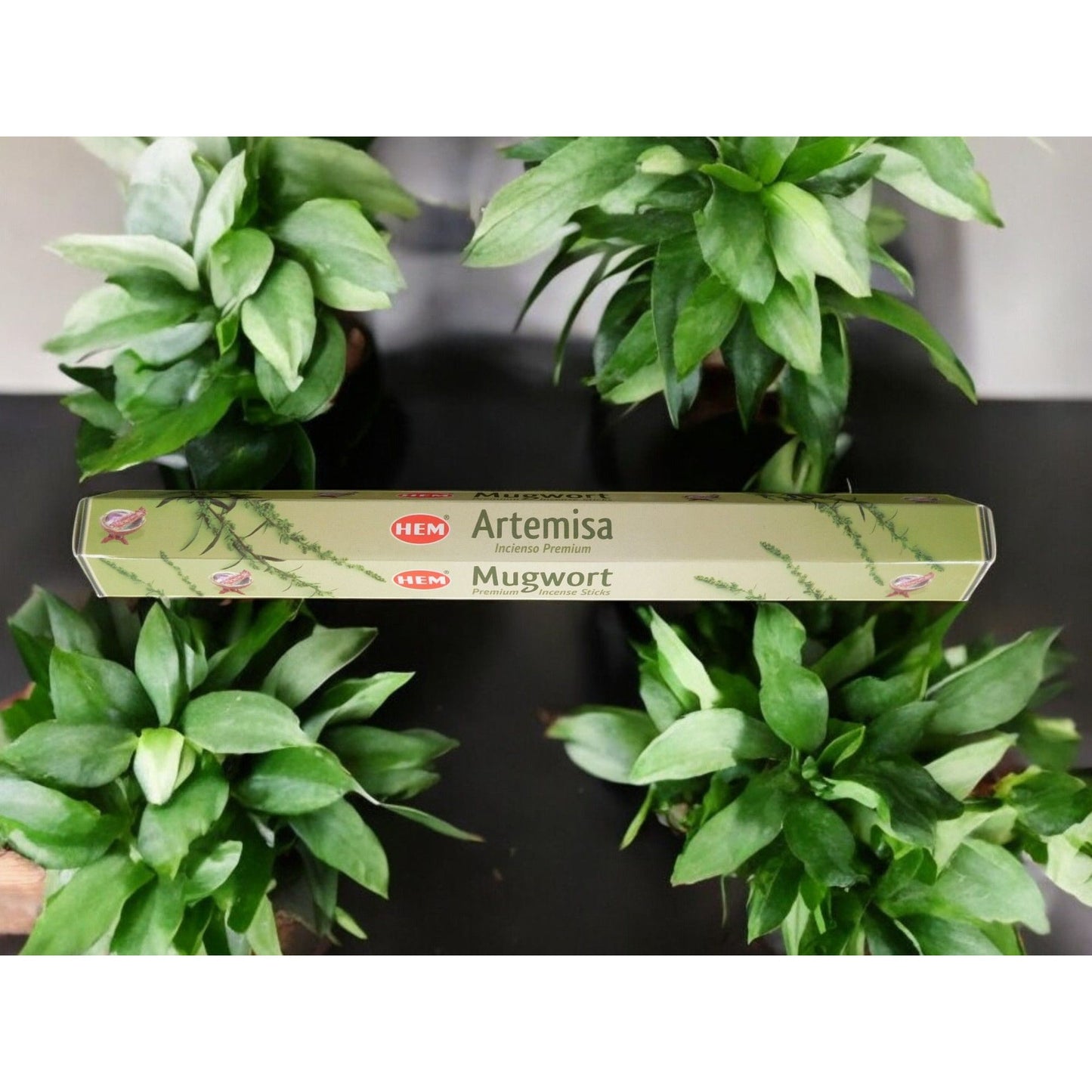 HEM Mugwort Incense Sticks Witchy Aromatherapy Meditation Ritual