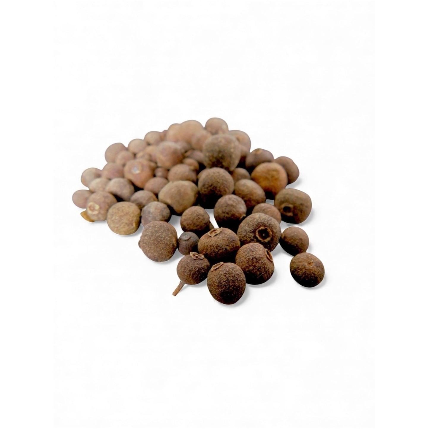 Ash & Sea Whole Allspice Witch-Chosen Intent Protection Ritual Herb Wicca Magick