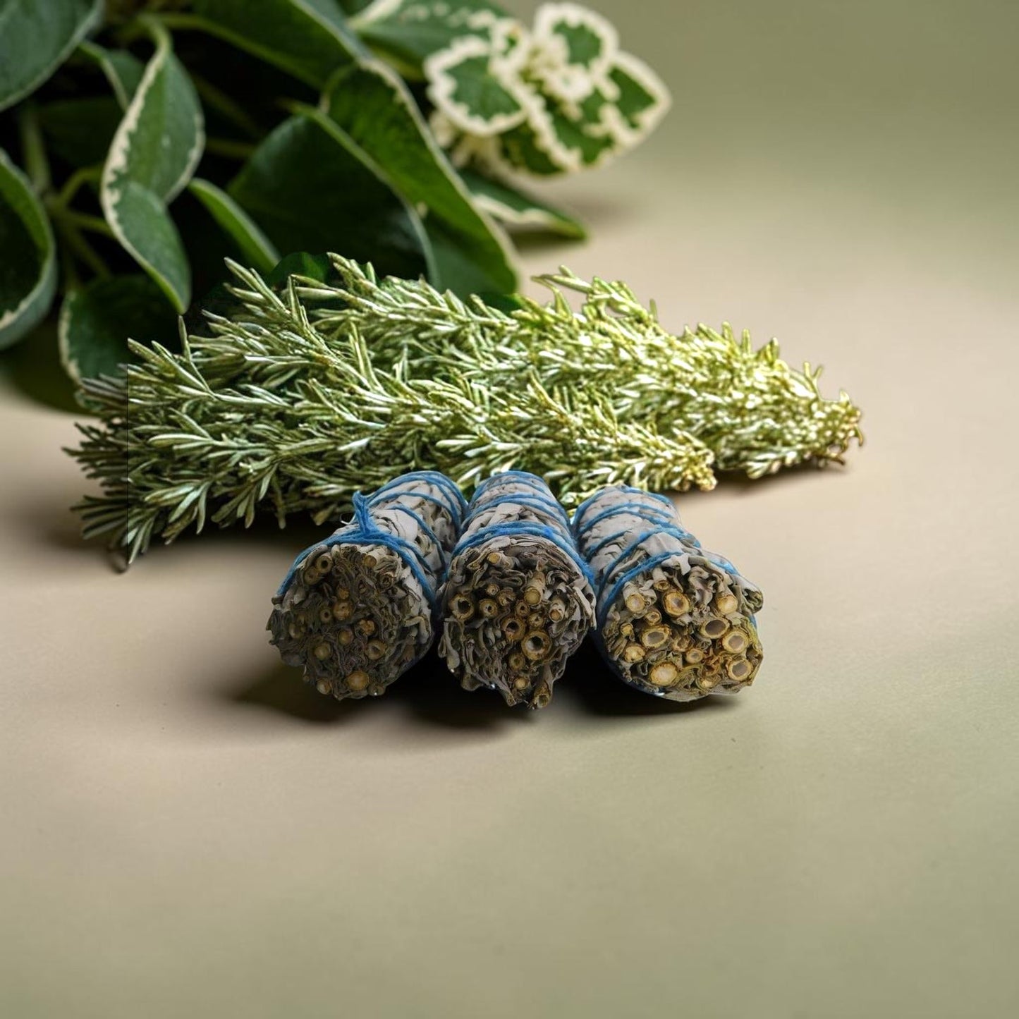 The Witches' Quest 3-pack of California white sage smudge sticks tied with blue cotton cord for energy cleansing.