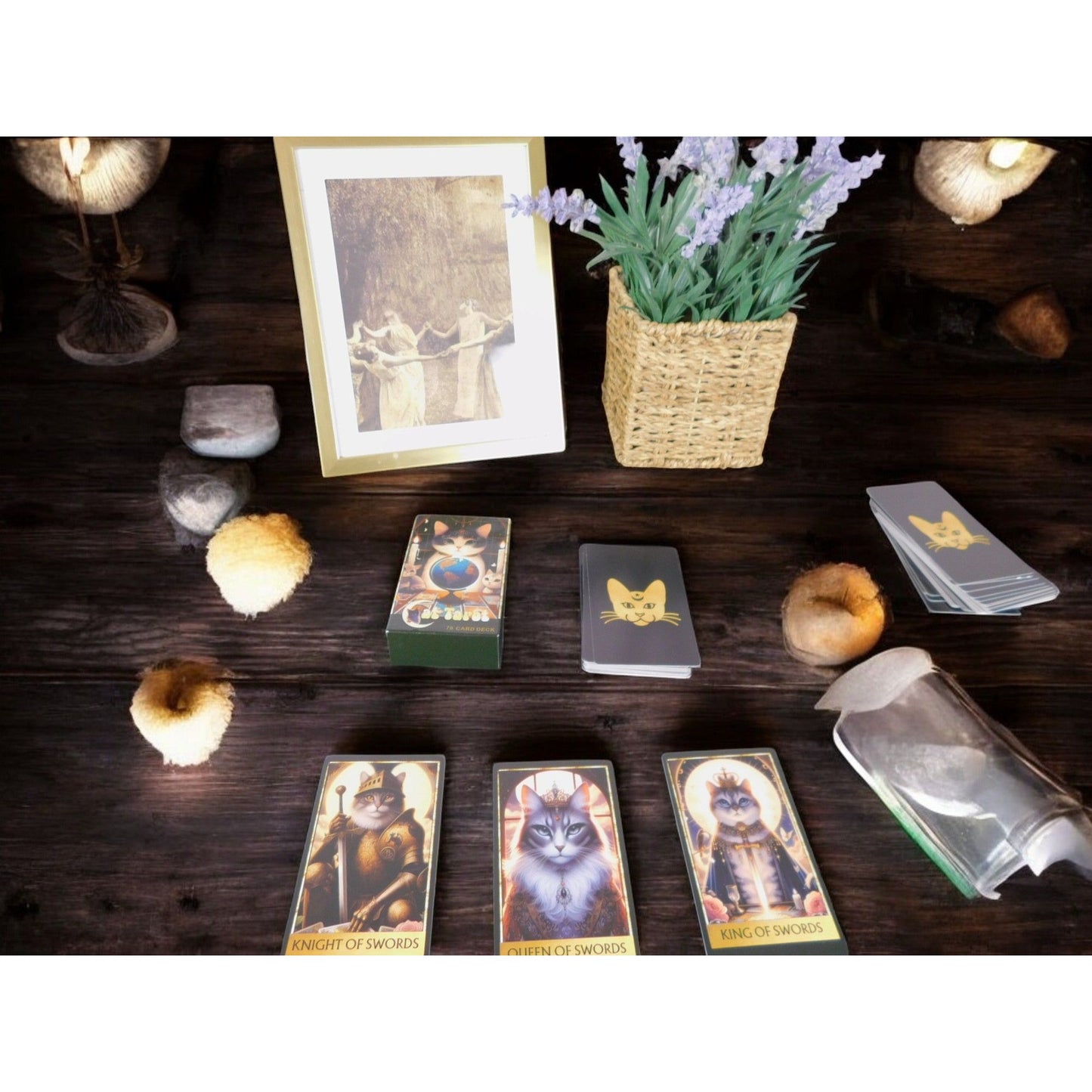 Cat Tarot Card Deck 78 Cards, 4.13" x 2.48" Mystical Cat Artwork NIB
