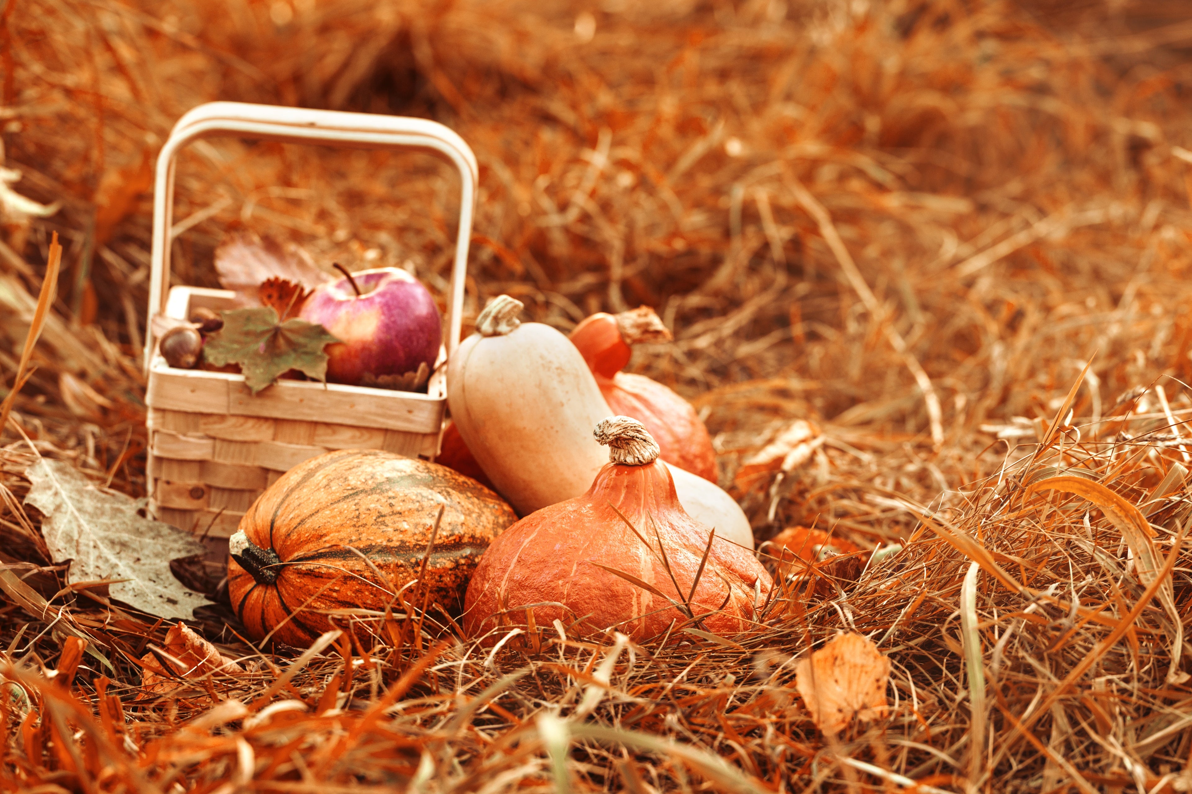 Mabon