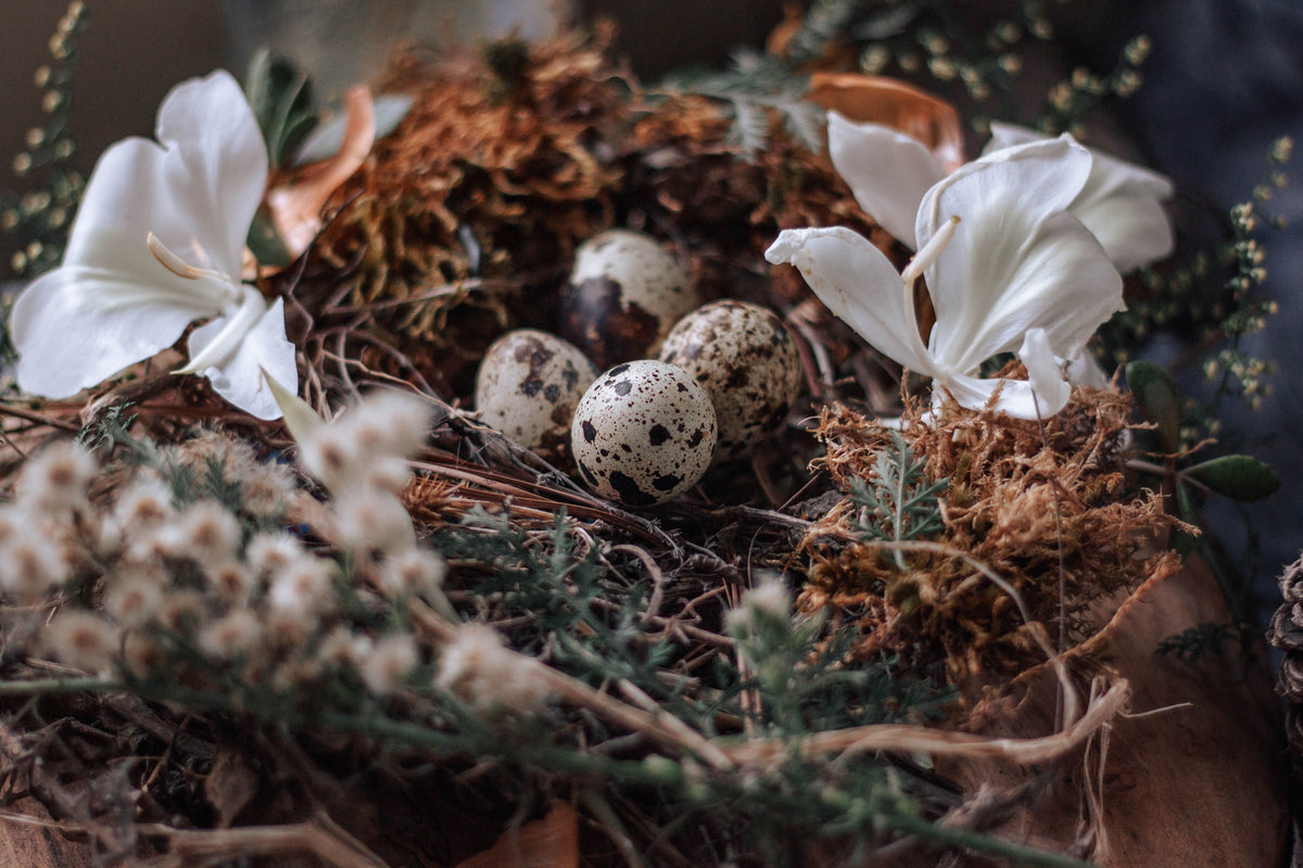 Ostara