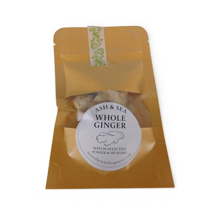 Ash & Sea Whole Ginger Witch Selected Power Healing Ritual Altar Spellwork