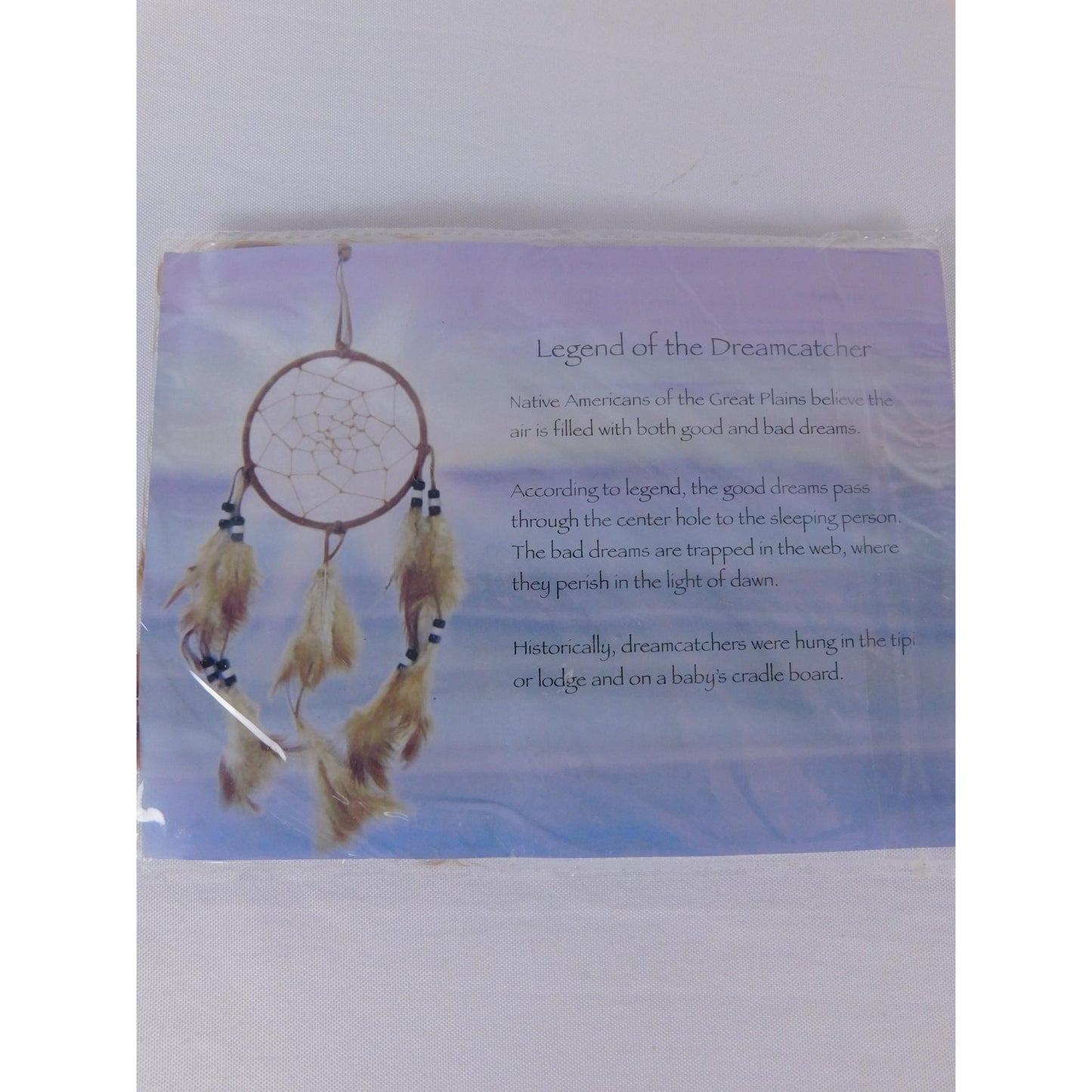 Brown Feather Dream Catcher Small Native American Wall Hanging Mystical Decor
