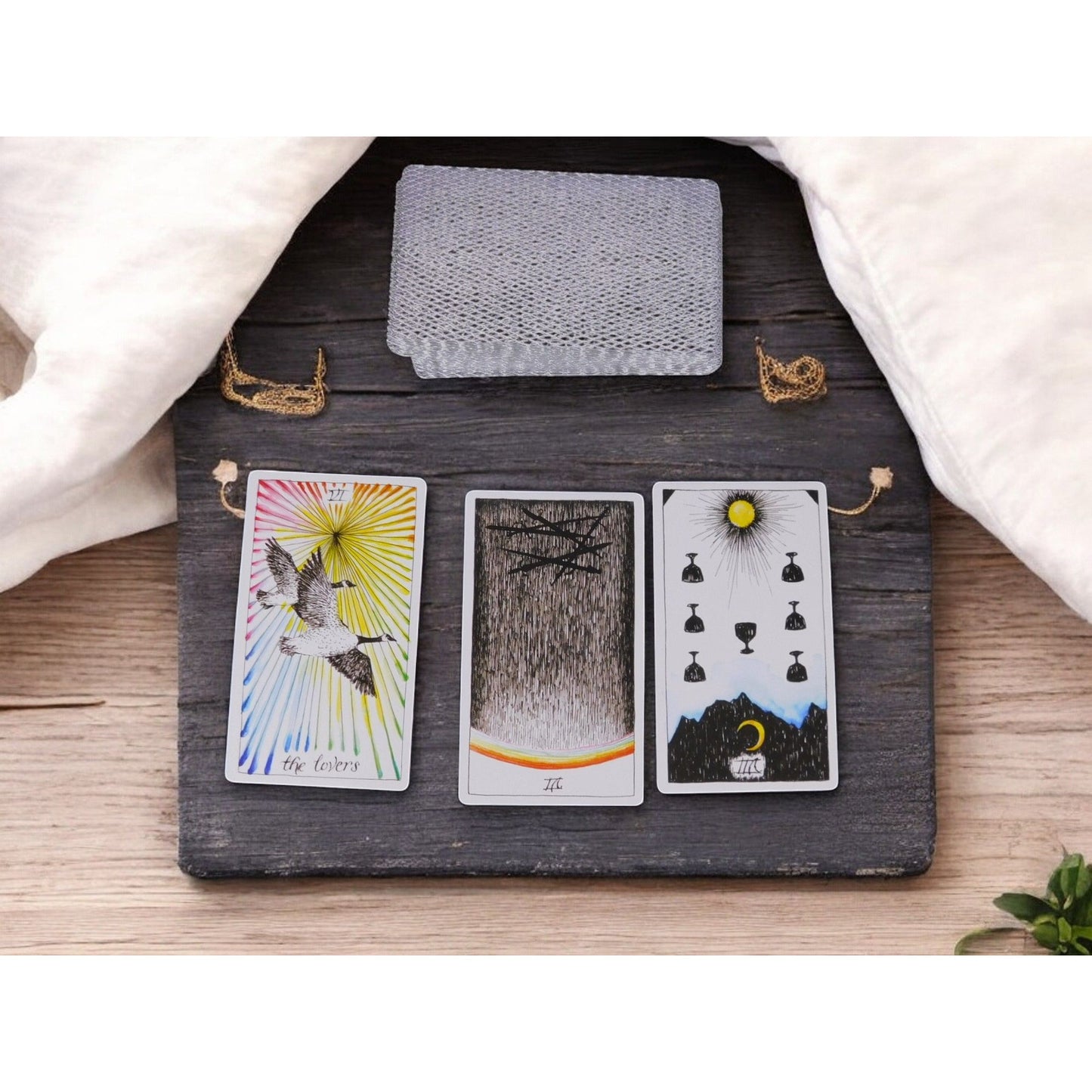 The Wild Unknown Tarot Deck & Guidebook by Kim Krans, New