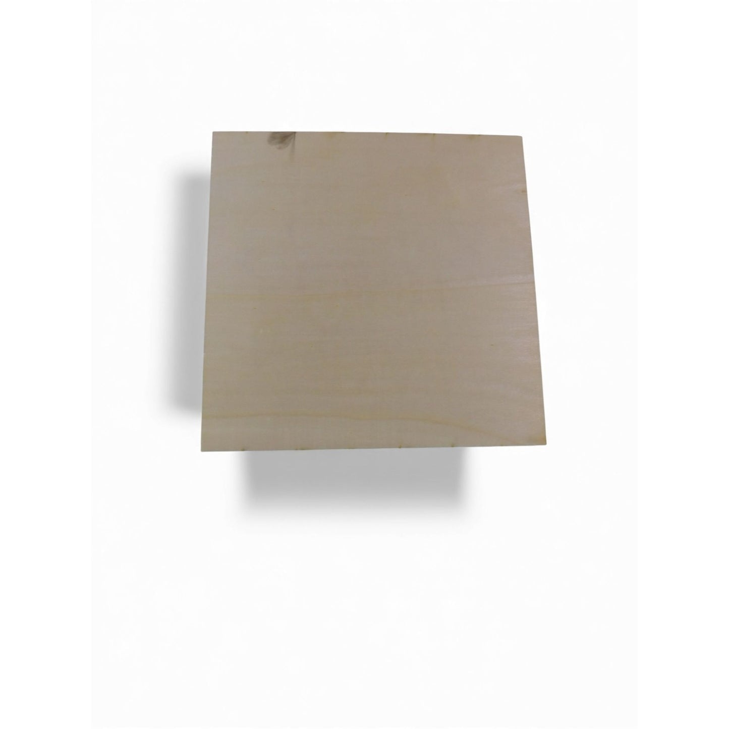 Please Do Not Summon Demons Bathroom Sign - 8x8 Wood - New