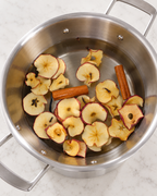 Fall Equinox Simmer Pot | Apple, Cinnamon, Vanilla & Clove