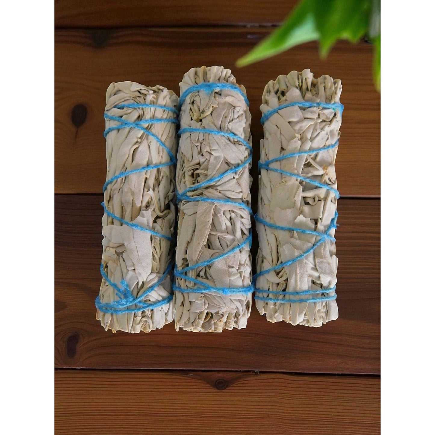 White Sage Smudge Sticks 3-Pack Home Cleansing & Aromatherapy California Bundles