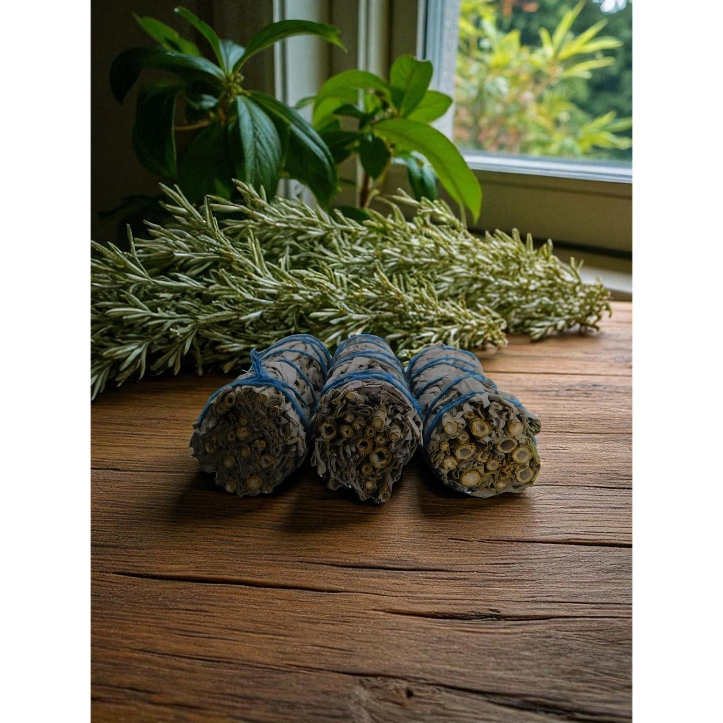 White Sage Smudge Sticks 3-Pack Home Cleansing & Aromatherapy California Bundles