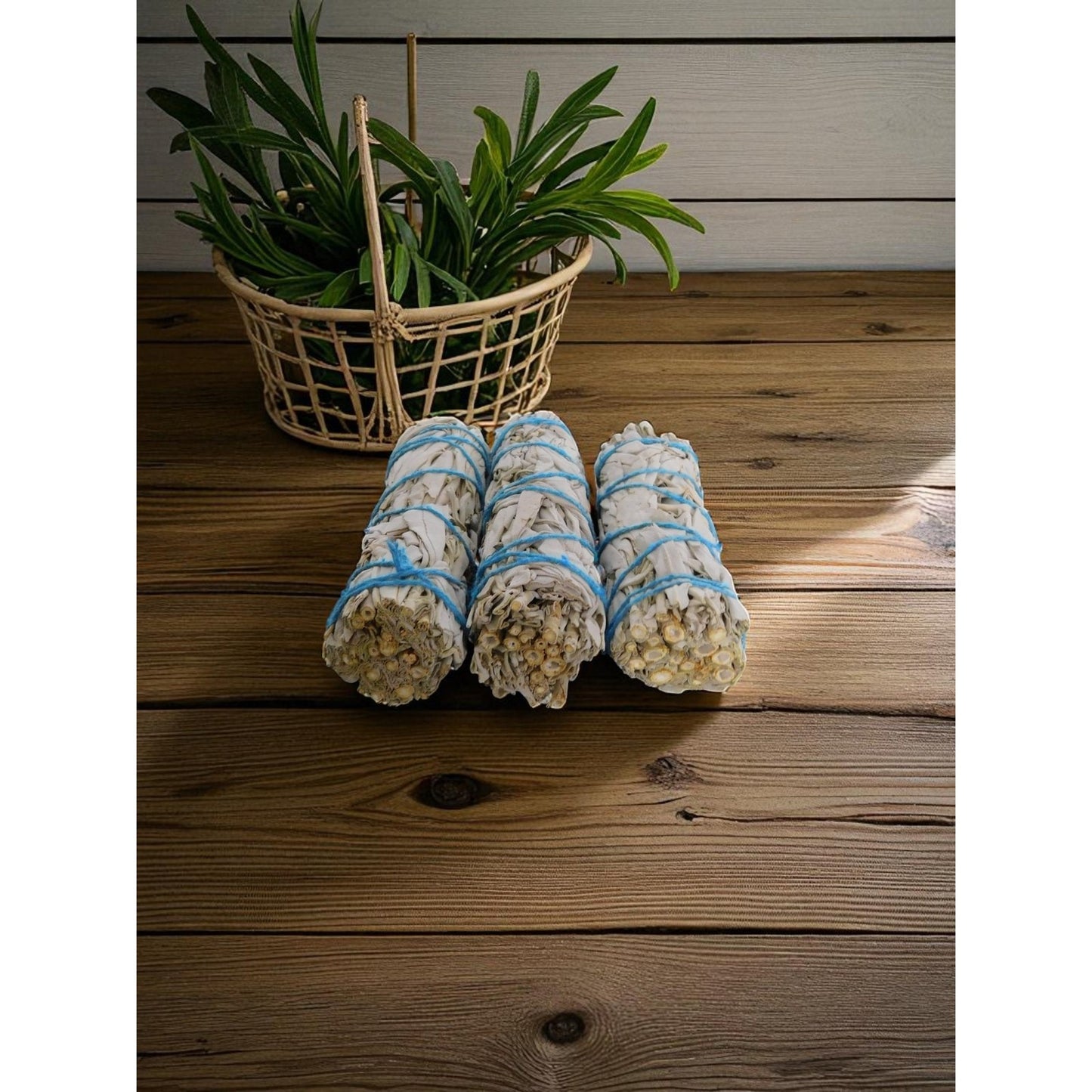 White Sage Smudge Sticks 3-Pack Home Cleansing & Aromatherapy California Bundles