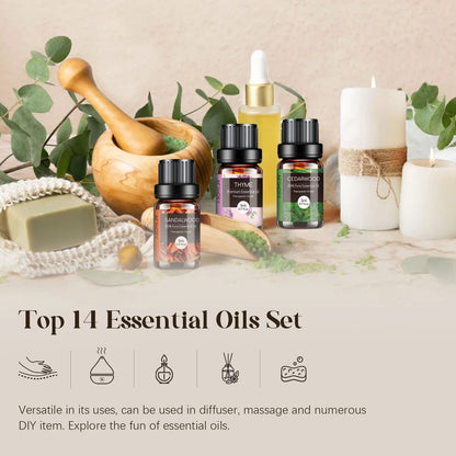 Woody & Herbal Essential Oils Set - TOP 14 Fragrance Oils 5ml