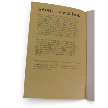 How to Organize a Coven Amber K Vintage Wicca Zine Booklet