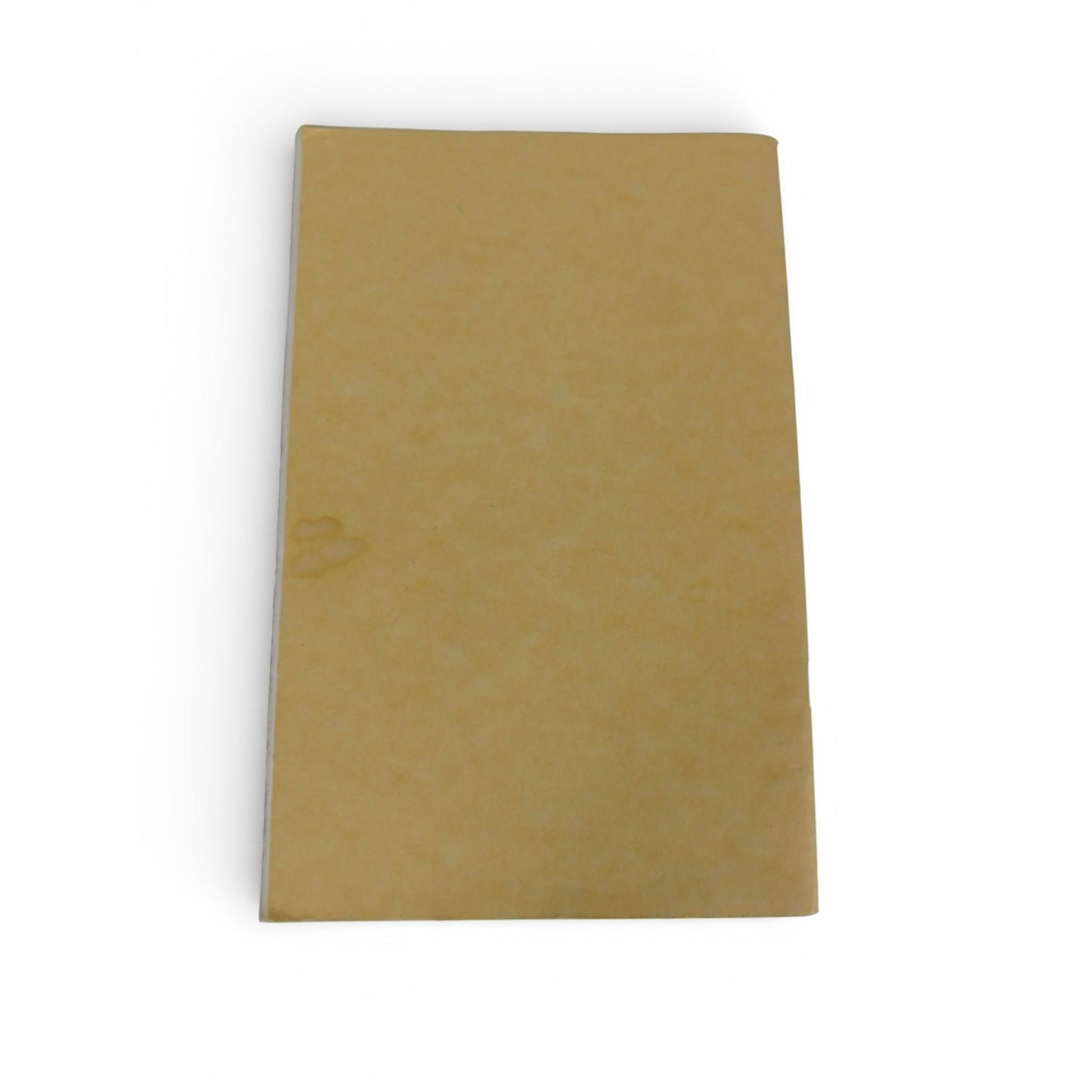 How to Organize a Coven Amber K Vintage Wicca Zine Booklet