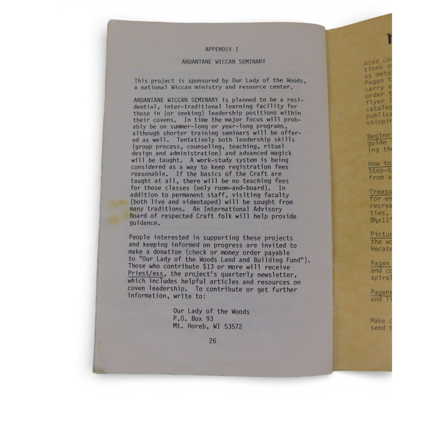 How to Organize a Coven Amber K Vintage Wicca Zine Booklet