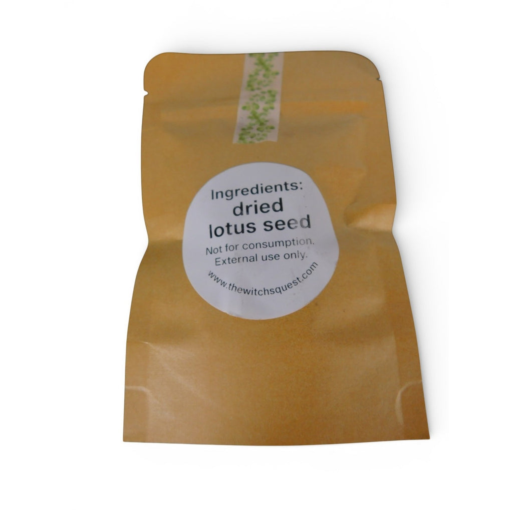 Ash & Sea Dried Lotus Seeds Witch-Chosen Ritual Herb Spiritual Purity Wicca