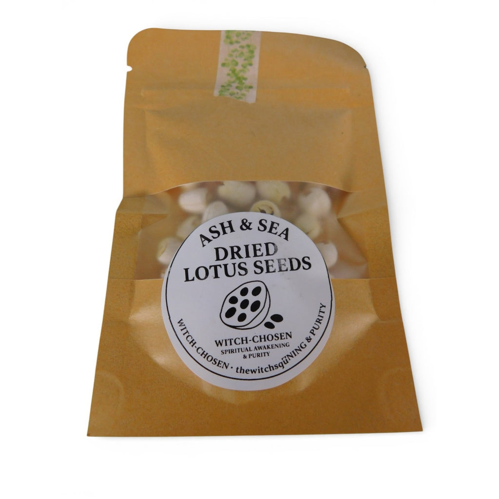 Ash & Sea Dried Lotus Seeds Witch-Chosen Ritual Herb Spiritual Purity Wicca