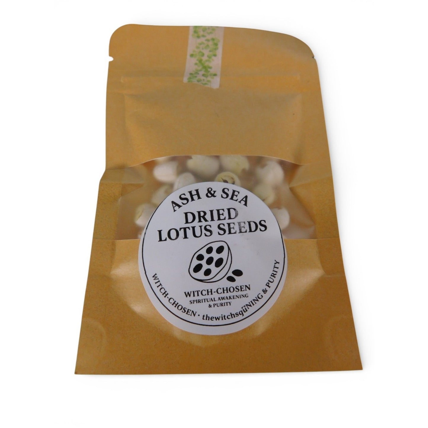 Ash & Sea Dried Lotus Seeds Witch-Chosen Ritual Herb Spiritual Purity Wicca