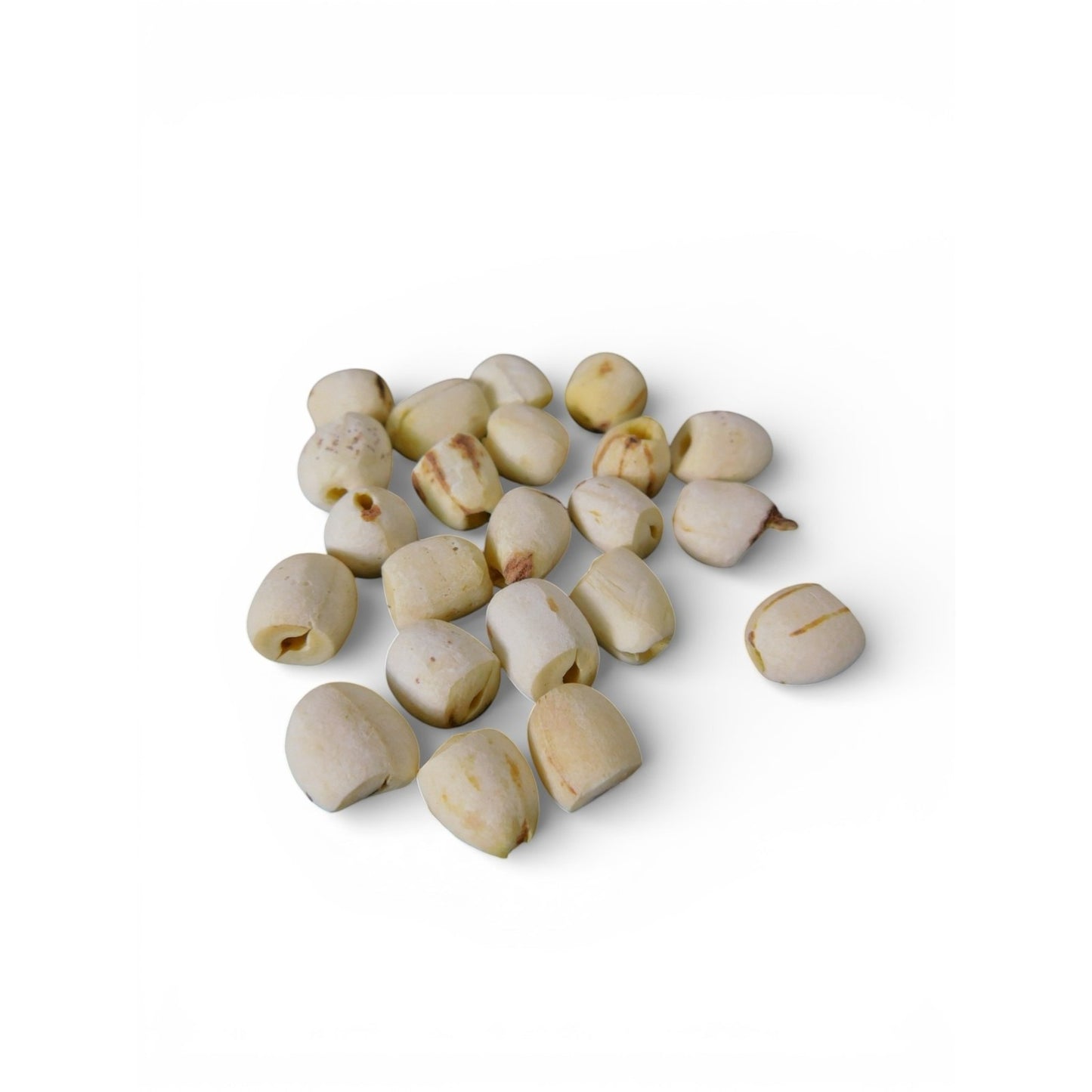 Ash & Sea Dried Lotus Seeds Witch-Chosen Ritual Herb Spiritual Purity Wicca