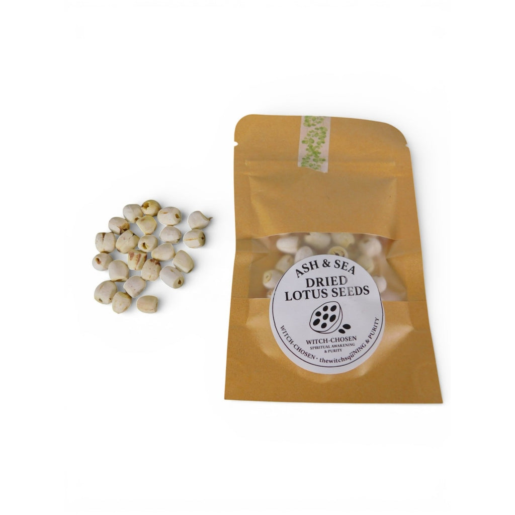 Ash & Sea Dried Lotus Seeds Witch-Chosen Ritual Herb Spiritual Purity Wicca