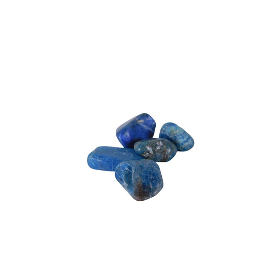 Blue Apatite Tumbled Stone Chips Small Bulk Crystal Lot