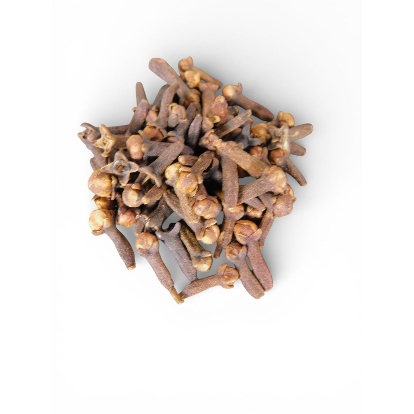 Ash & Sea Whole Cloves Witch Chosen Protection Prosperity Ritual Magick Herb