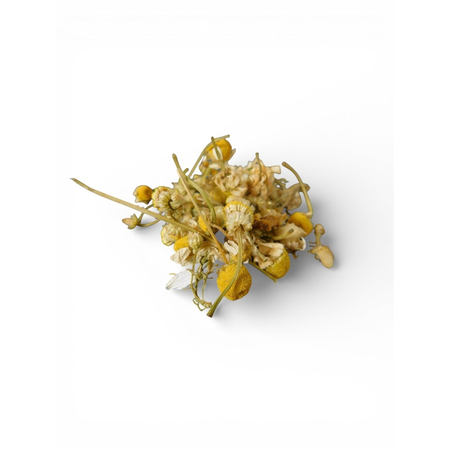 Ash & Sea Chamomile Flowers Witch-Chosen Calming Dreamwork Ritual Herb Magick