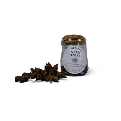 Ash & Sea Star Anise Witch-Chosen Ritual Herb Protection Prosperity Witchcraft
