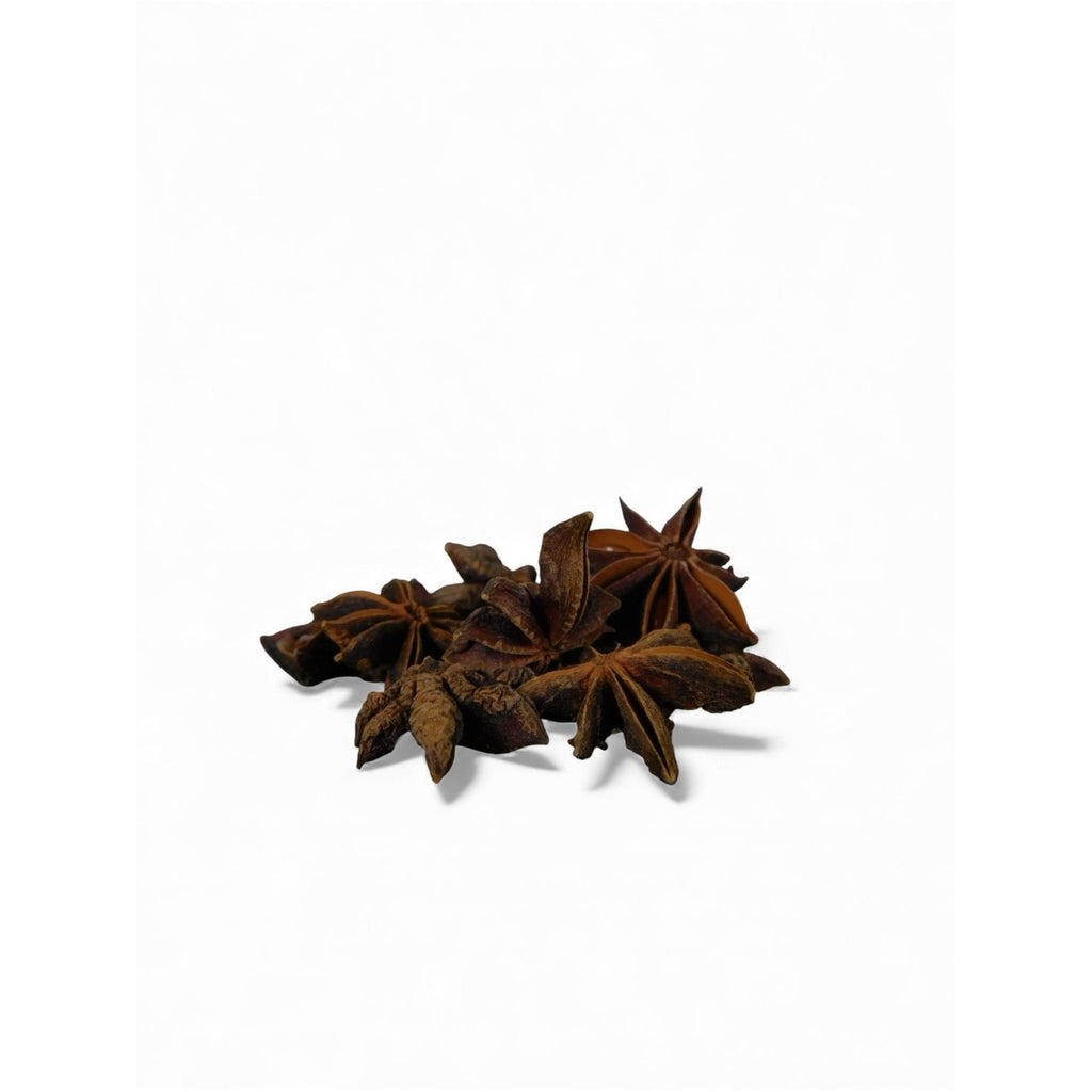 Ash & Sea Star Anise Witch-Chosen Ritual Herb Protection Prosperity Witchcraft