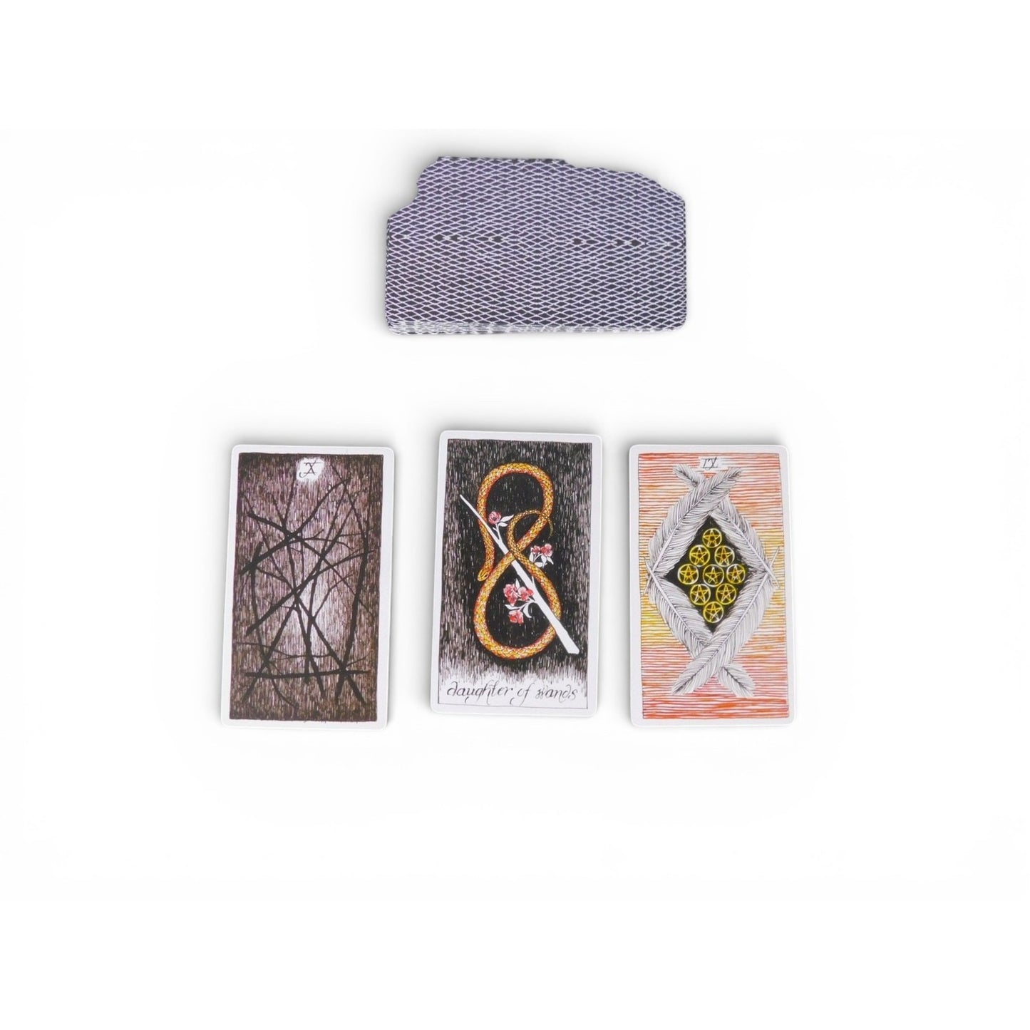 The Wild Tarot Deck & Guidebook Kim Krans Tarot Oracle Divination