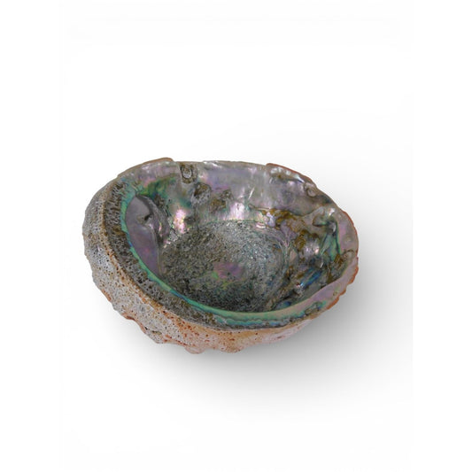 Large Natural Abalone Shell Smudge Bowl Rainbow Altar Dish Witch Decor