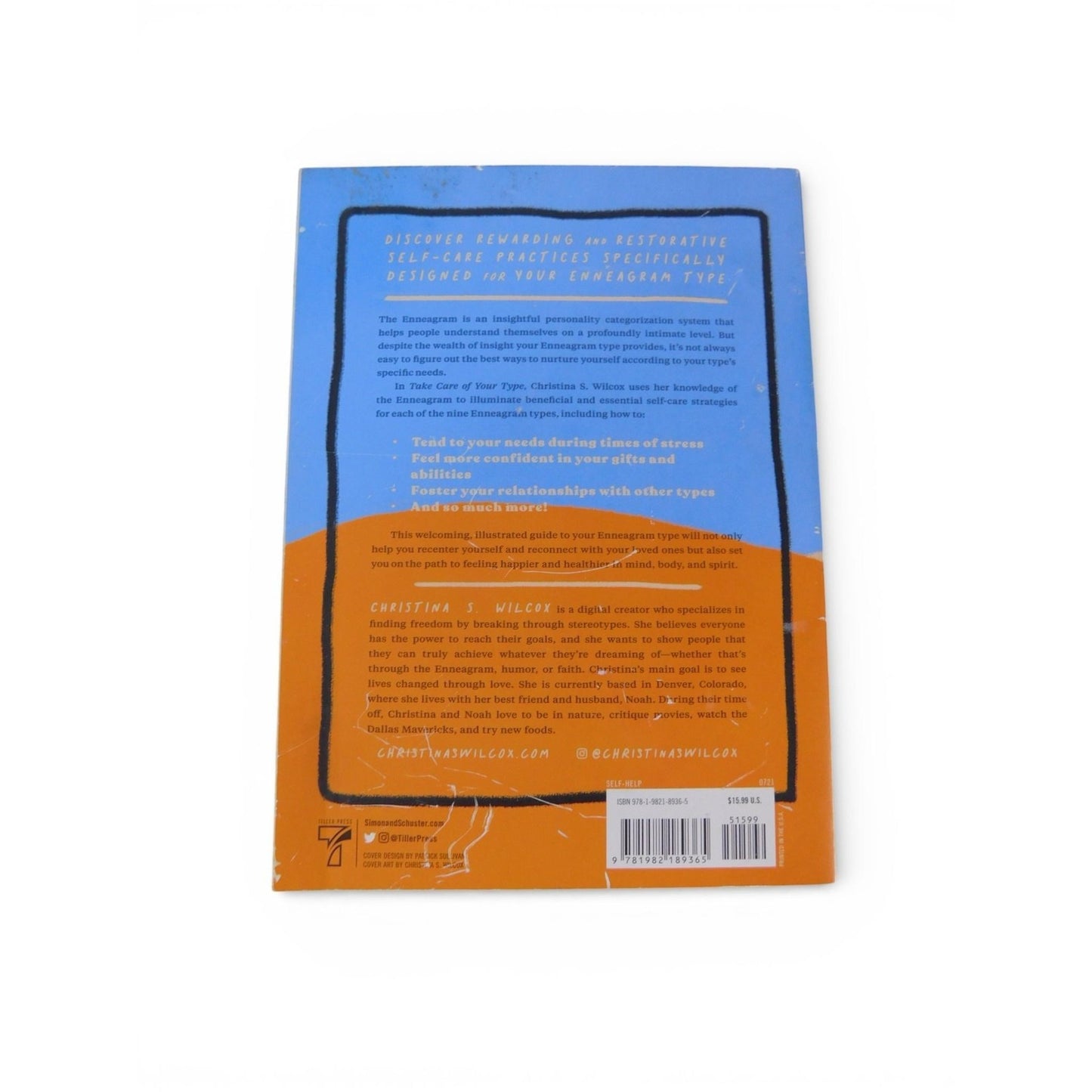 Take Care Of Your Type Christina Wilcox Thriller Blue Orange Trade PB Enneagram
