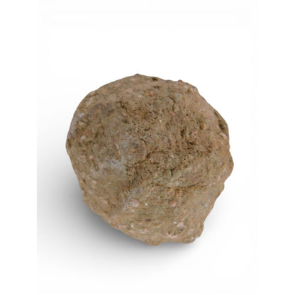 Natural Quartz Geode Druzy Crystal Hollow Witch Altar Decor Stone 0.54 Lb