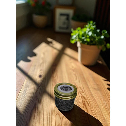 Ash & Sea Witch-Forged Black Salt in Glass Jar Ritual Protection