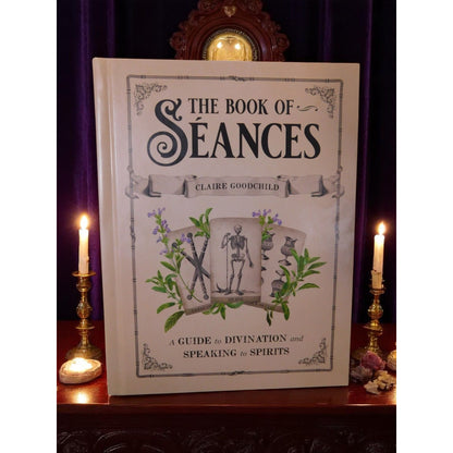 The Book Of Séances By Claire Goodchild Hardcover