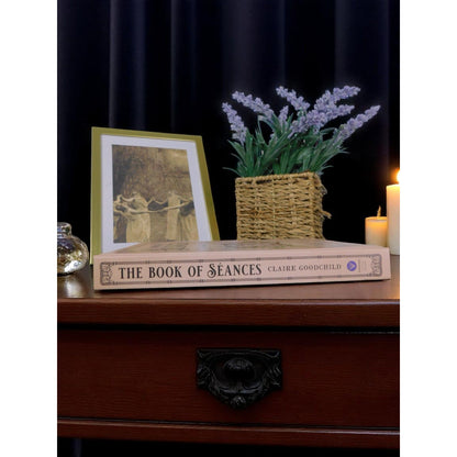 The Book Of Séances By Claire Goodchild Hardcover