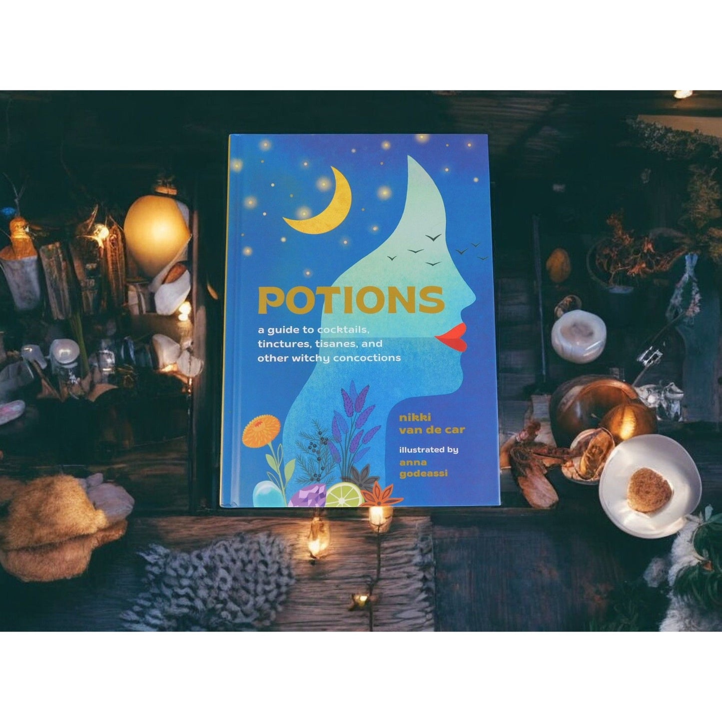 Potions: Witchy Cocktails, Tinctures, & Tisanes HC Book by Nikki Van De Car New
