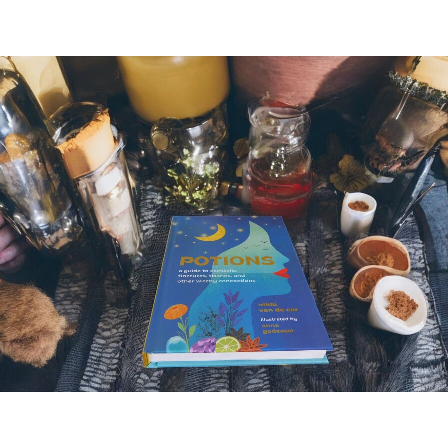 Potions: Witchy Cocktails, Tinctures, & Tisanes HC Book by Nikki Van De Car New