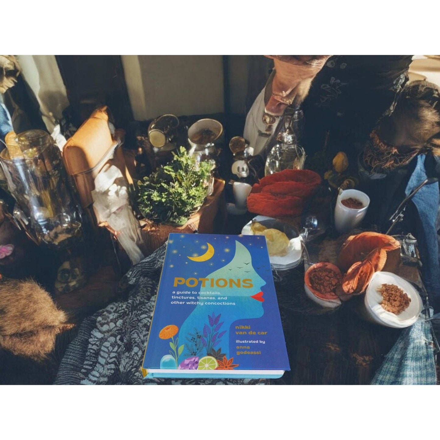 Potions: Witchy Cocktails, Tinctures, & Tisanes HC Book by Nikki Van De Car New