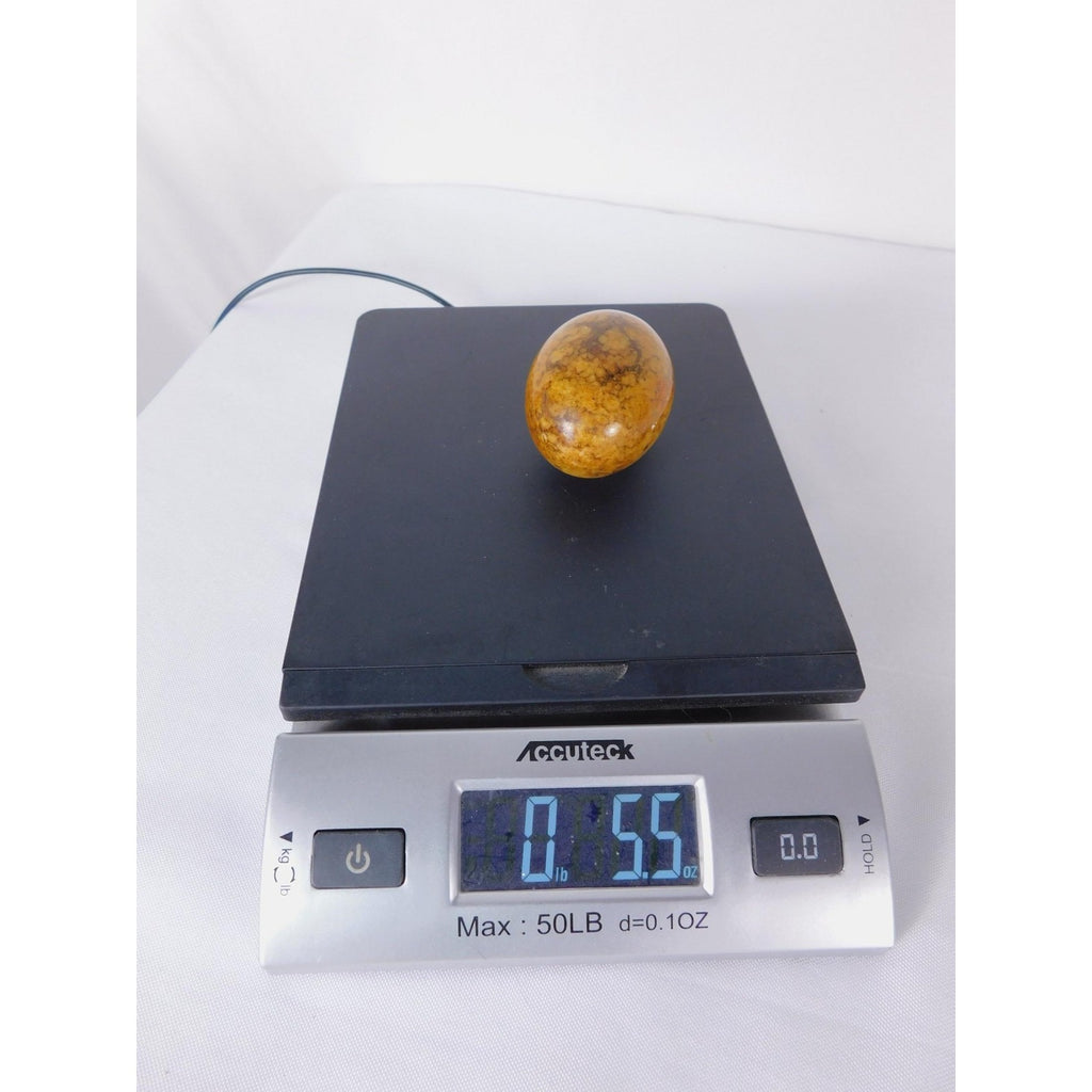Mariam Jasper Stone Egg 0.55oz Polished Calligraphy Stone Fossil Altar Decor