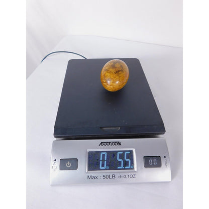 Mariam Jasper Stone Egg 0.55oz Polished Calligraphy Stone Fossil Altar Decor