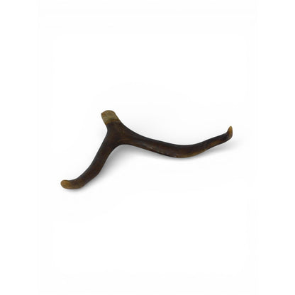 Natural Deer Antler Shed 2 Point Brown Horn Habitat Decor Craft Supply Display