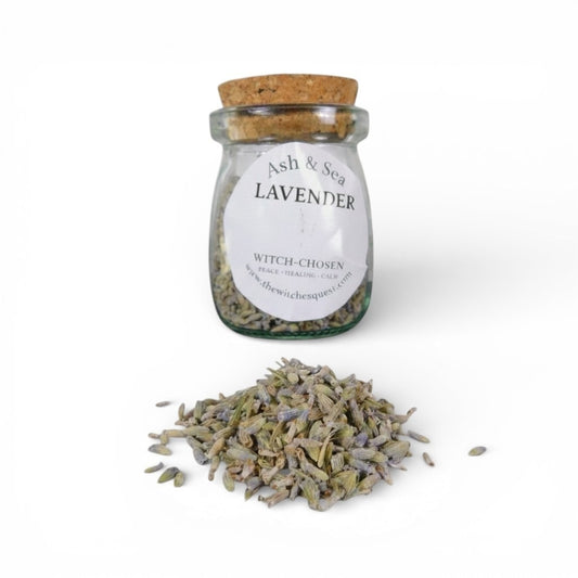 Ash & Sea Lavender Witch-Chosen Herb Jar Peace Calm Ritual Altar