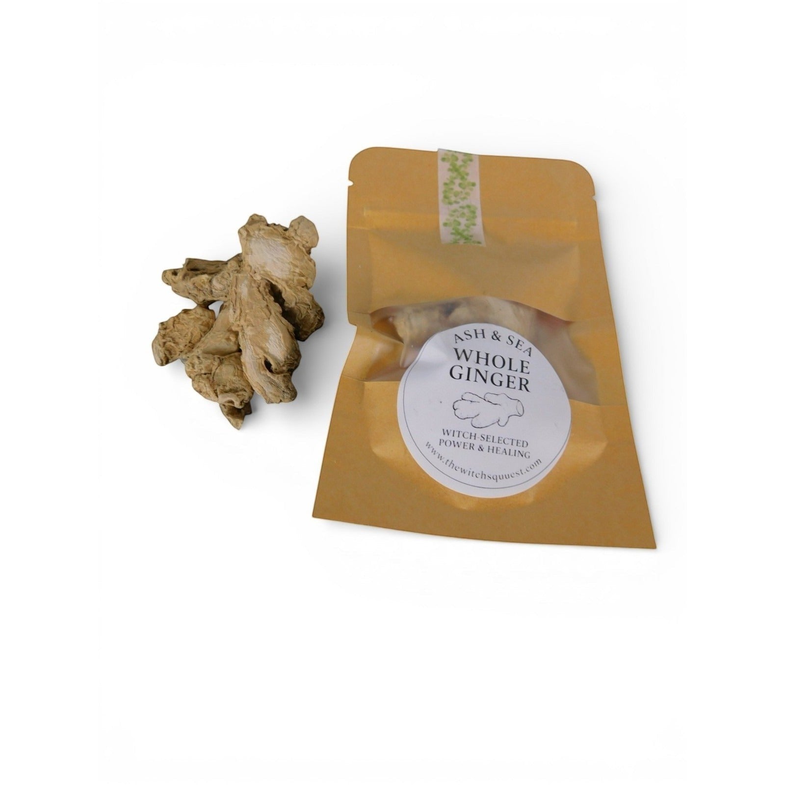The Witches' Quest Ash & Sea whole dried ginger root in a kraft pouch for ritual spellwork and healing magic.