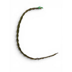The Witches' Quest braided sweetgrass smudge stick with green tie for cleansing and ritual protection
