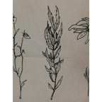 The Witches' Quest beige canvas tote bag featuring detailed black line art of three botanical flowers