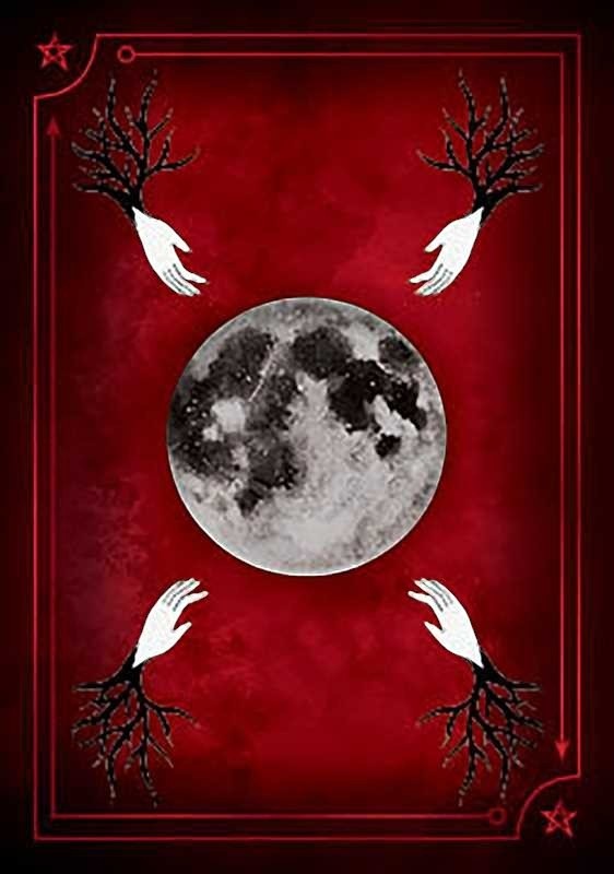 The Witches' Quest Seasons of the Witch Samhain Oracle card back featuring a full moon, white hands, and tree roots.