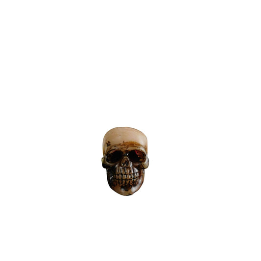 The Witches' Quest decorative human skull wax candle with a weathered antique finish and realistic details.