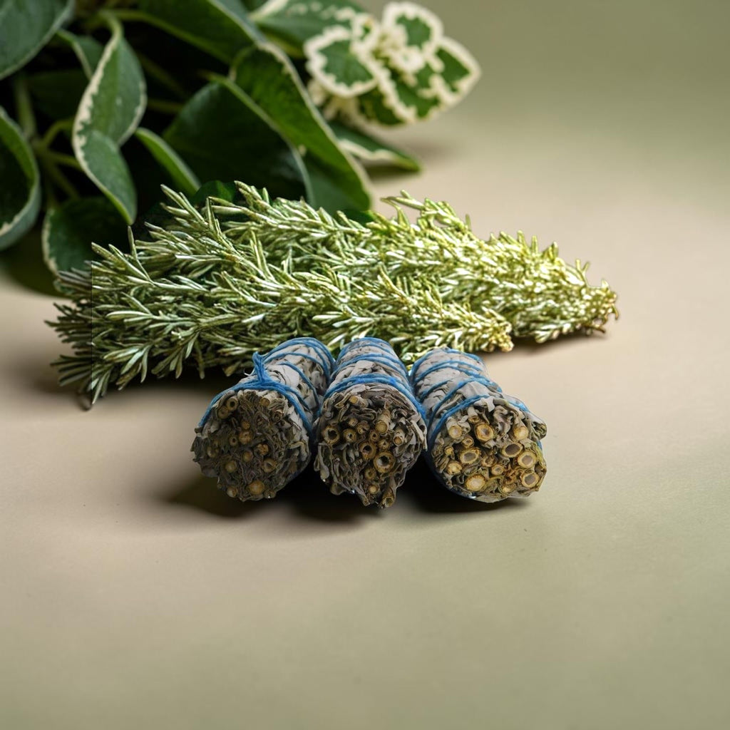 The Witches' Quest 3-pack of California white sage smudge sticks tied with blue cotton cord for energy cleansing.