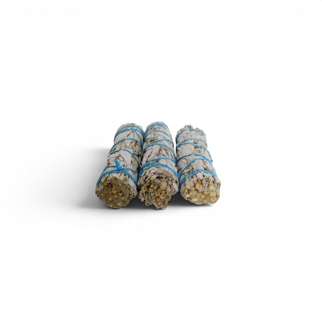 The Witches' Quest 3-pack of California white sage smudge sticks tied with blue cotton cord for energy cleansing.
